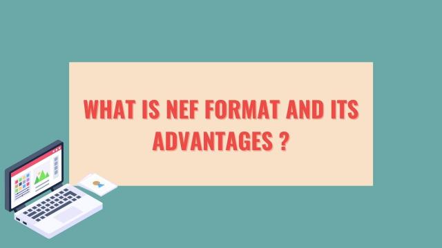 NEF फॉर्मेट और इसके फायदे क्या है?