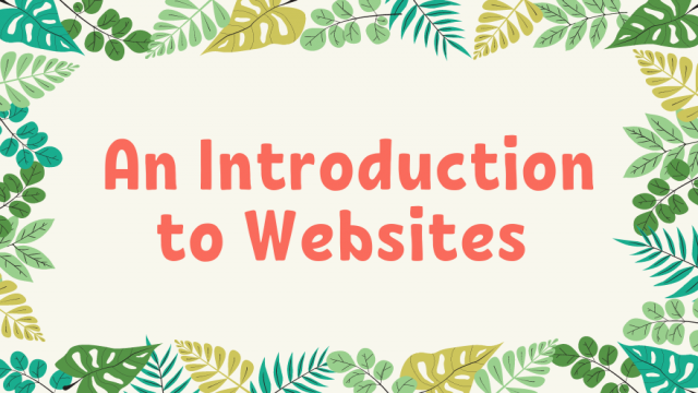 An Introduction to Websites