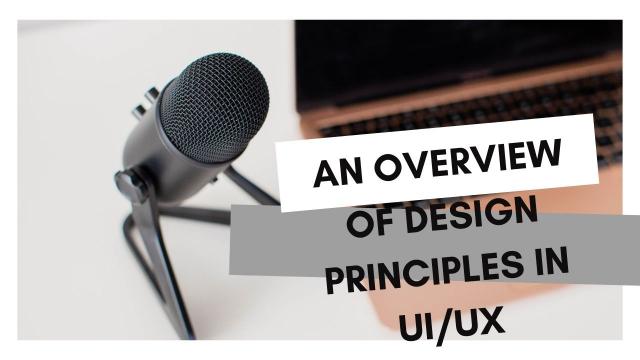 An Overview of Design Principles in UI_UX