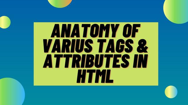 The Anatomy of an HTML Tags & Attributes