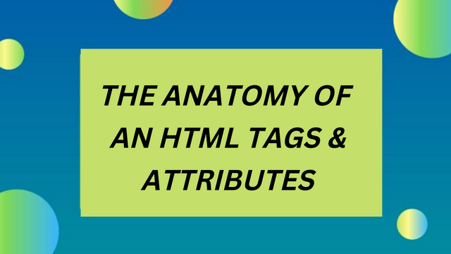 The Anatomy of an HTML Tags & Attributes