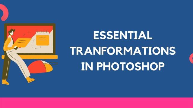 Free Transform tool in photoshop