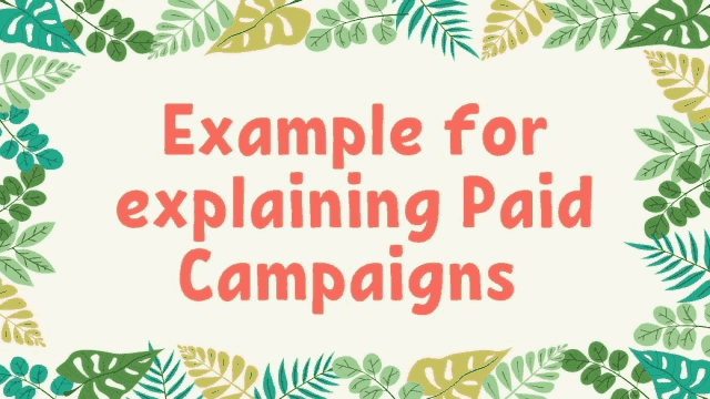 Example-for-explaining-Paid-Campaigns