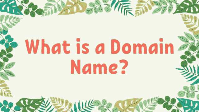 What-is-a-Domain-Name