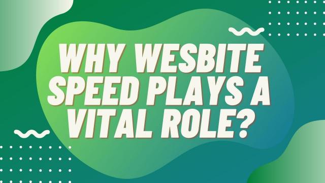 Why wesbite speed plays a vital role?