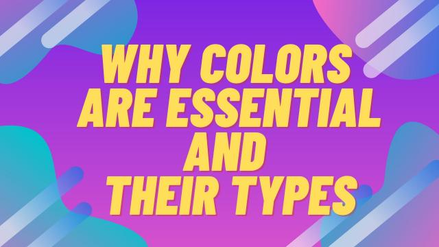 Why Colors are essential and Their Types