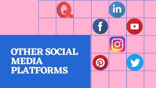 Other Social Media Platforms