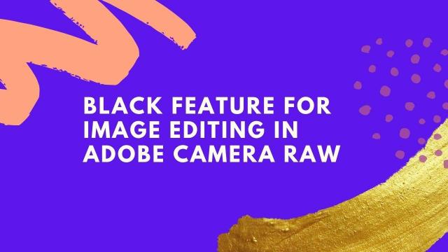 Black feature for image editing in Adobe Camera raw