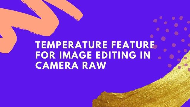 Temperature feature for image editing in camera raw