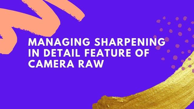 Managing sharpening in detail feature of camera raw