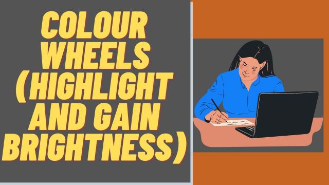 Colour-Wheels-Highlight-and-Gain-Brightness