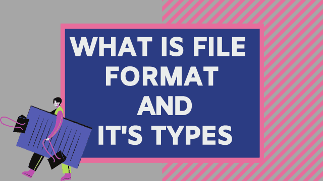 What is file format and its types