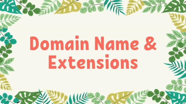 Domain-Name--Extensions