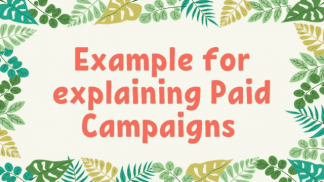 Example for explaining Paid Campaigns