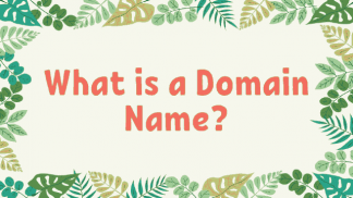 What is a Domain Name?