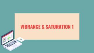 Vibrance & Saturation 1