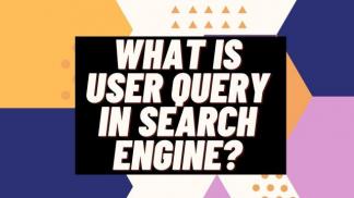What is User Query in Search engine?