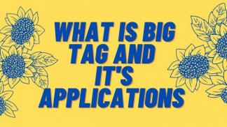What is Big Tag and its Applications 