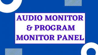 Audio monitor and program monitor panel