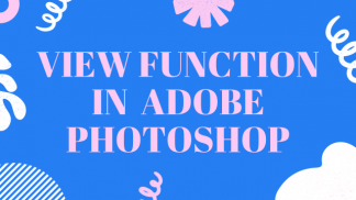 View function in adobe photoshop