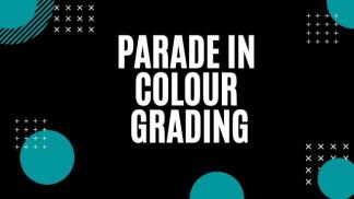 Parade in Colour Grading