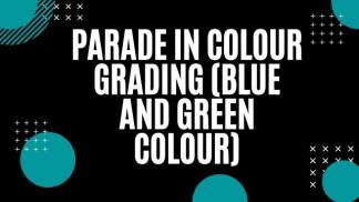 Parade in Colour Grading (Blue and Green colour)