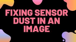 Fixing Sensor Dust in an Image