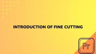 Introduction of Fine Cutting 