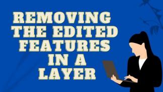 Removing the edited features in a layer