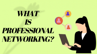 What is Professional Network?