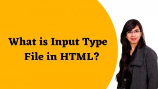 What is Input Type File in HTML?