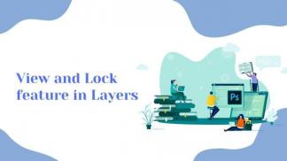 View and lock feature in layers