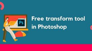 Free Transform tool in photoshop