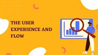 The User Experience & Flow