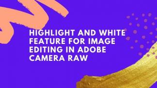 Highlight and White feature for image editing in Adobe Camera Raw