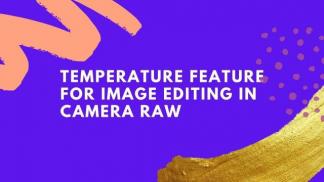 Temperature feature for image editing in camera raw