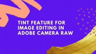 Tint feature for image editing in Adobe Camera Raw