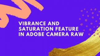 Vibrance and Saturation feature in Adobe Camera Raw