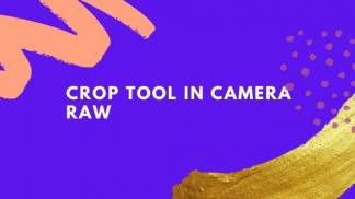 Crop Tool in camera raw