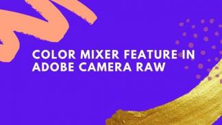 Color mixer feature in Adobe Camera Raw