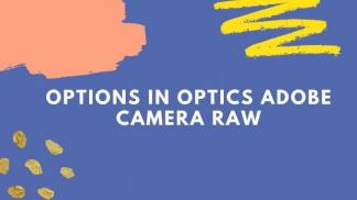 Options in optics Adobe Camera Raw