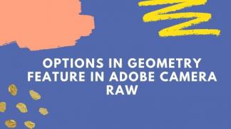 Options in Geometry feature in Adobe Camera Raw