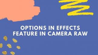 Options in effects feature in camera raw