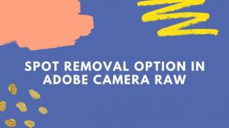 Spot removal option in Adobe Camera Raw