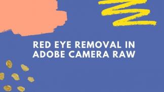 Red eye removal in Adobe Camera Raw