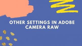 Other settings in Adobe Camera Raw