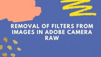 Removal of filters from images in adobe camera raw