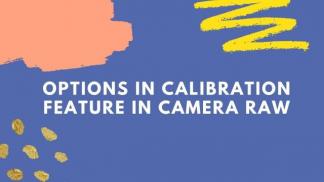Options in Calibration feature in camera raw