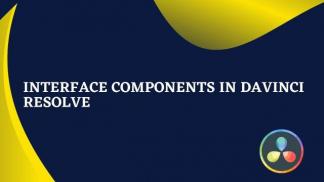 Interface Components in Davinci Resolve
