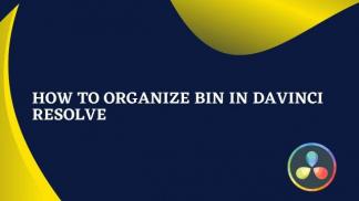 How to organize Bin in Davinci Resolve